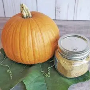 Fresh pumkin (31)-503170-78581.webp